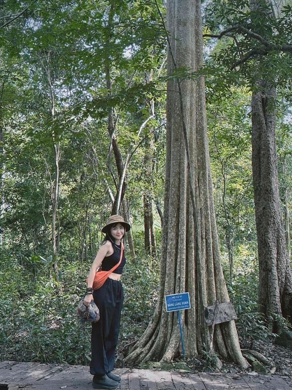 https://files.locallife.asia/images/800/1773718360037-1126991665345999831 (2).jpg